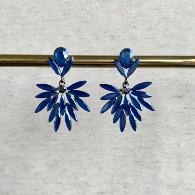 Stunning earrings - Blue